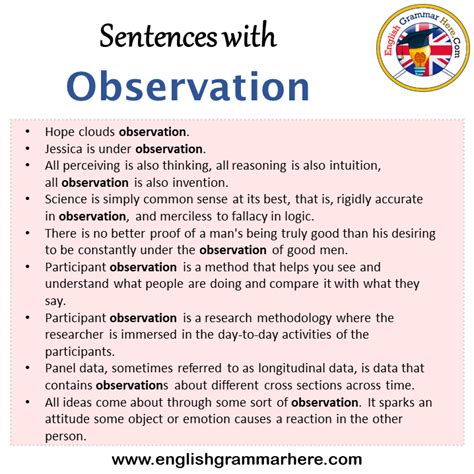 觀察英文|observation